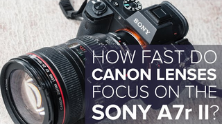 Here's How Fast Canon Lenses Focus On the New Sony A7r Mark II